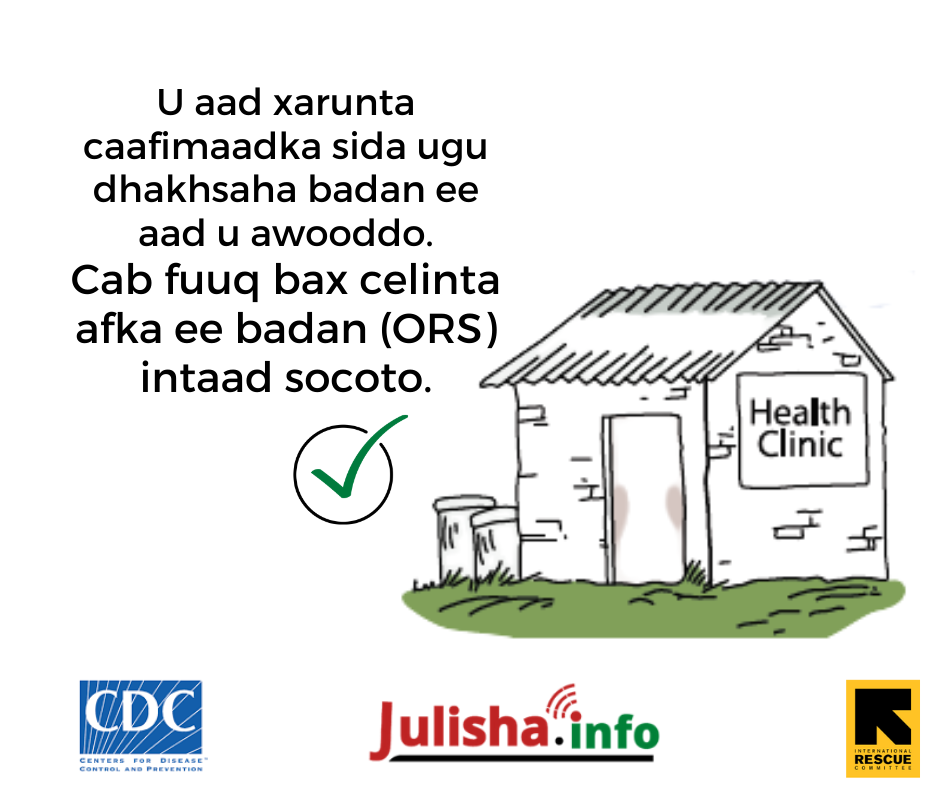 SOMALI_CLINIC_GRAPHIC.png