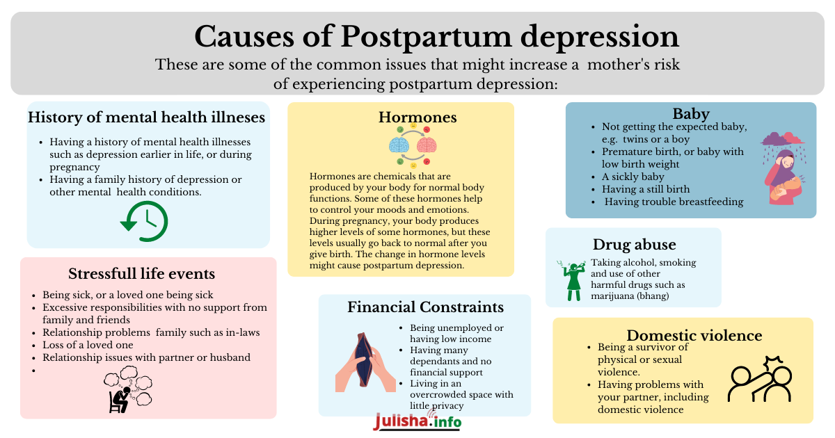 Eng-_Postpartum_Depression_Causes.png